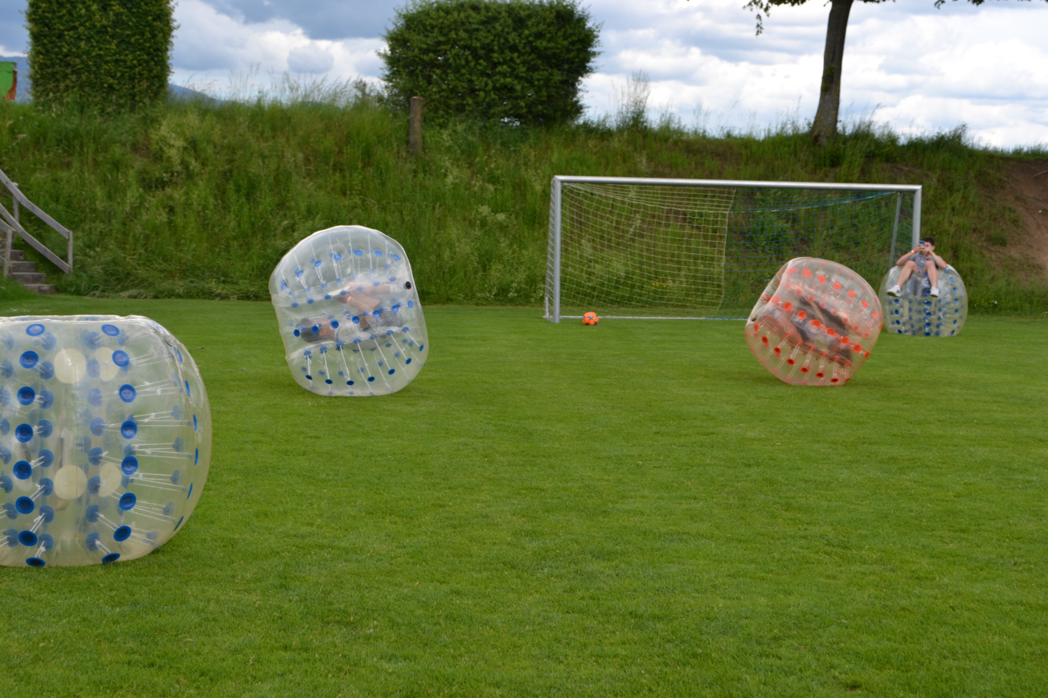 Bild (49)